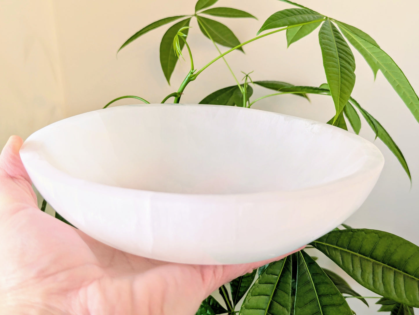 Selenite_Bowl_Crystal